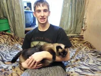 1189618.webp