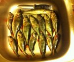 IMG_3888.jpg