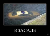 DemVasjanPortal (143)-Р.webp