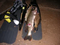 DSCN8112.webp