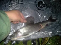 20130929_225221.webp