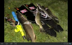 SC20131001-120824.webp