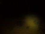 20131003_001237.jpg