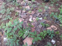 1211051.webp