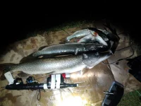 2013-10-06 23.26.24.webp