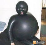 i.jpg