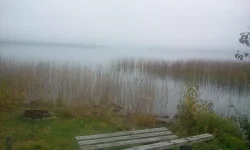 2013-10-08 13.55.04.webp