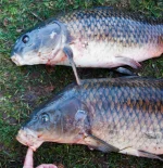 IMG_8453.webp IMG_8453.webp