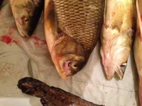 image-13-10-13-03-39-6.webp