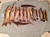 image-13-10-13-03-38-3.webp