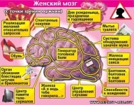 0374907.webp