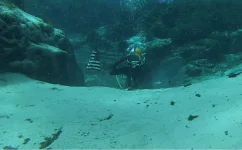 941136_10200327959264696_2140249996_n.webp