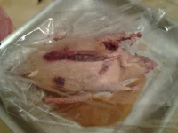 20131015_215300.webp