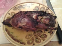 20131015_230103.webp