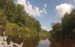 река.webp