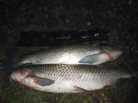 DSCN2529.webp
