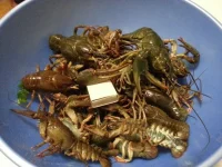 20131019_233557.webp