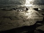 DSCF4284.jpg