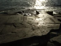 DSCF4284.webp