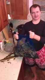 IMAG1687.webp