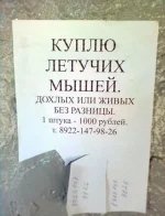 1311850092_vedm_02.webp
