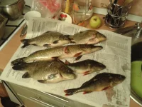 20131030_040327.webp