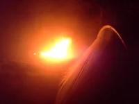 20131102_191119-1295327359.webp