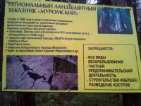 20131103_11461856380043.webp