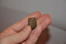 DSC_0070_thumb.webp