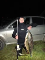 image.webp