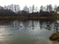 IMG-20131104-WA0003.webp