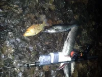 20131110_0514511235755657.webp