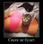 cbc.webp