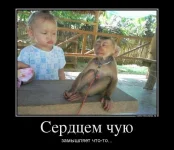 03.webp
