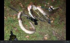SC20131113-013025.webp