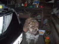 100_3153.webp