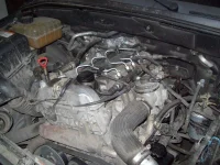 100_3155.webp