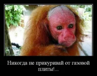 T2SrU6qTayo.webp