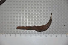 DSC_0129_thumb.webp