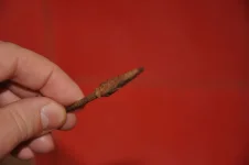 DSC_0134_thumb.webp