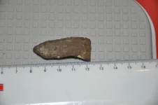 DSC_0150_thumb.webp