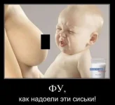 0291d635a48ef3313e2e72f7d8d336b1.webp