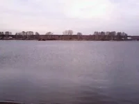 охота 005.webp