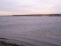 охота 009.webp