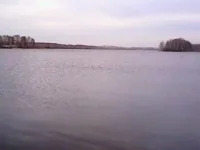 охота 007.webp