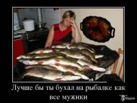 1364538683_demotiv_01.webp