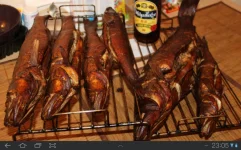 SC20131119-230551.webp