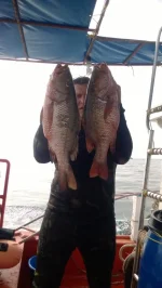WP_20131120_007.webp