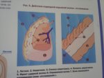 20131120_175956.jpg