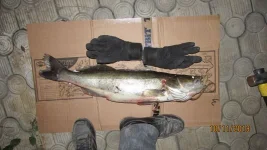 IMG_0368.webp IMG_0368.webp